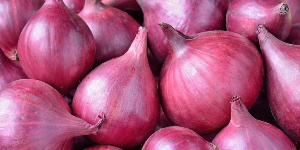 Allium-Free Diet: Understanding and Embracing a Flavorful Alternative